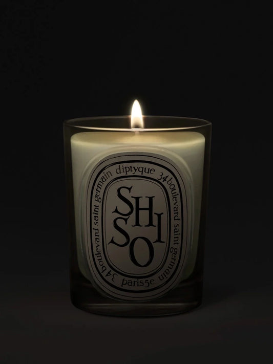 SHISO CLASSIC CANDLE CLASSIC - 6.7 OZ