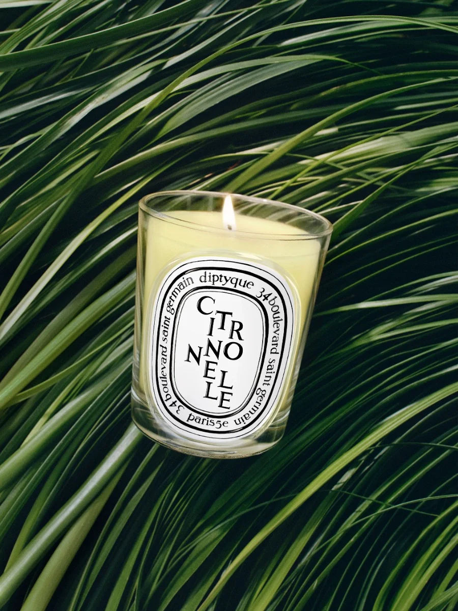 CITRONNELLE (LEMONGRASS) CLASSIC CANDLE CLASSIC - 6.7 OZ