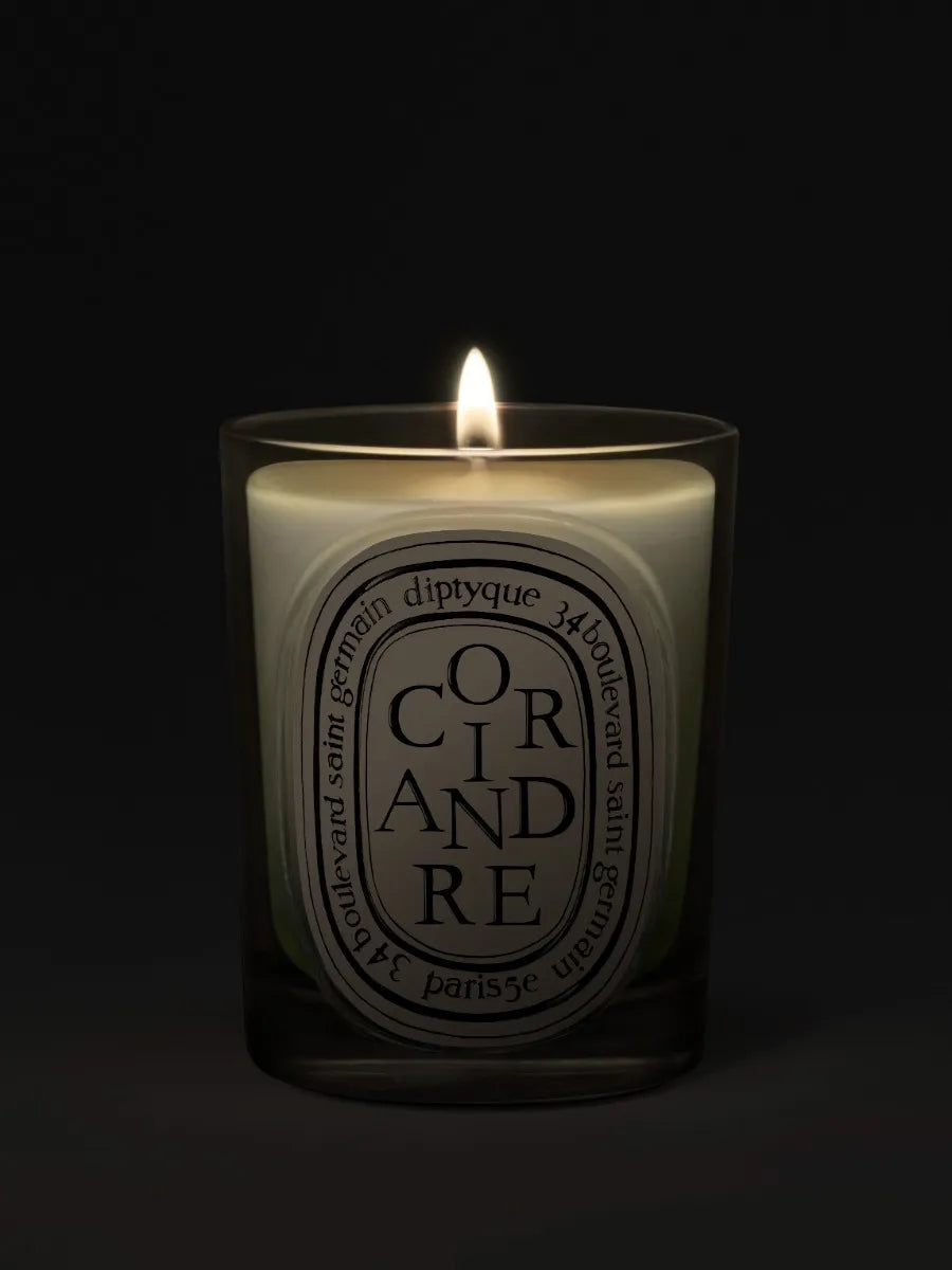 Coriandre (Coriander) - Classic Candle