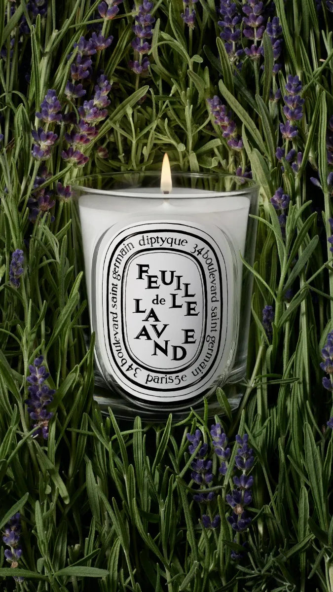 Feuille de Lavande (Lavender Leaf) - Classic Candle